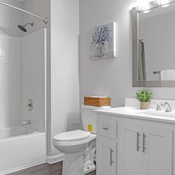 bathroom at Lakeview Oaks Apartments in Savannah, GA